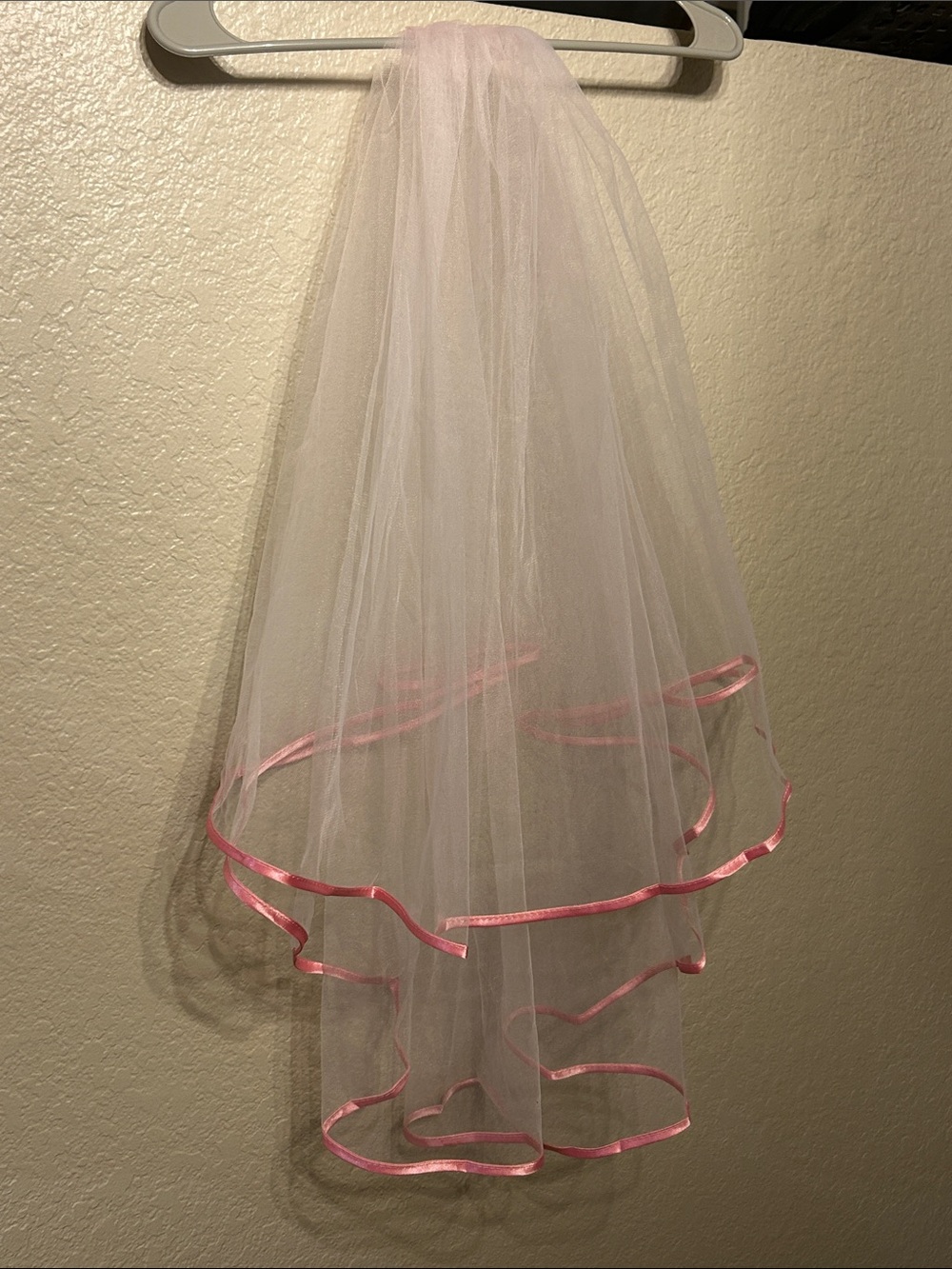 Pretty Pink Bachelorette Party Veil